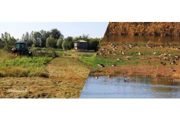 ATTENZIONE - da martedì 18/8/2026 fino a martedì 1/9/2026 attività di gestione all'interno della zona umida