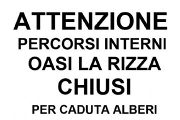 Percorsi dell'Oasi chiusi per caduta alberi